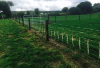 Over 1000 Farmers Apply To Sheep Fencing Scheme Under Tams Ii with regard to measurements 1024 X 768