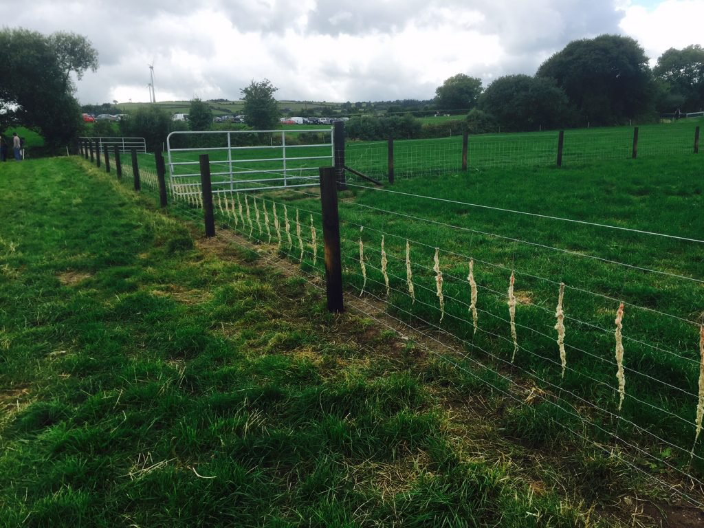 Over 1000 Farmers Apply To Sheep Fencing Scheme Under Tams Ii with regard to measurements 1024 X 768