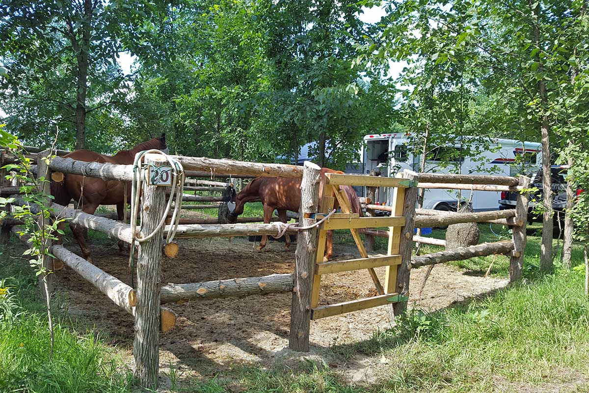 Overnight Camping Horse Country Campground with regard to sizing 1200 X 800