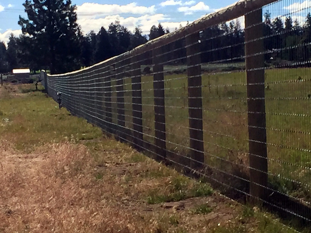 Pasture Fence With Mesh Screen Bend Fencing Cedar Chain Link throughout size 1024 X 768