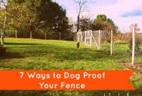 Peace In The Yard 7 Ways To Dog Proof Your Fence Notes From A Dog for proportions 3072 X 2304