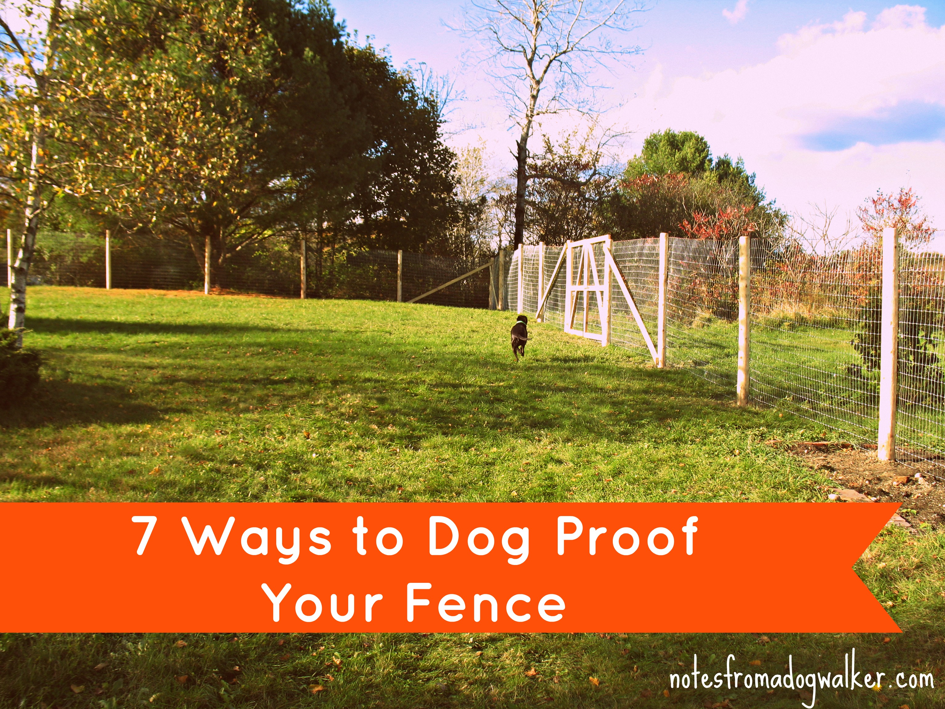 Peace In The Yard 7 Ways To Dog Proof Your Fence Notes From A Dog for proportions 3072 X 2304