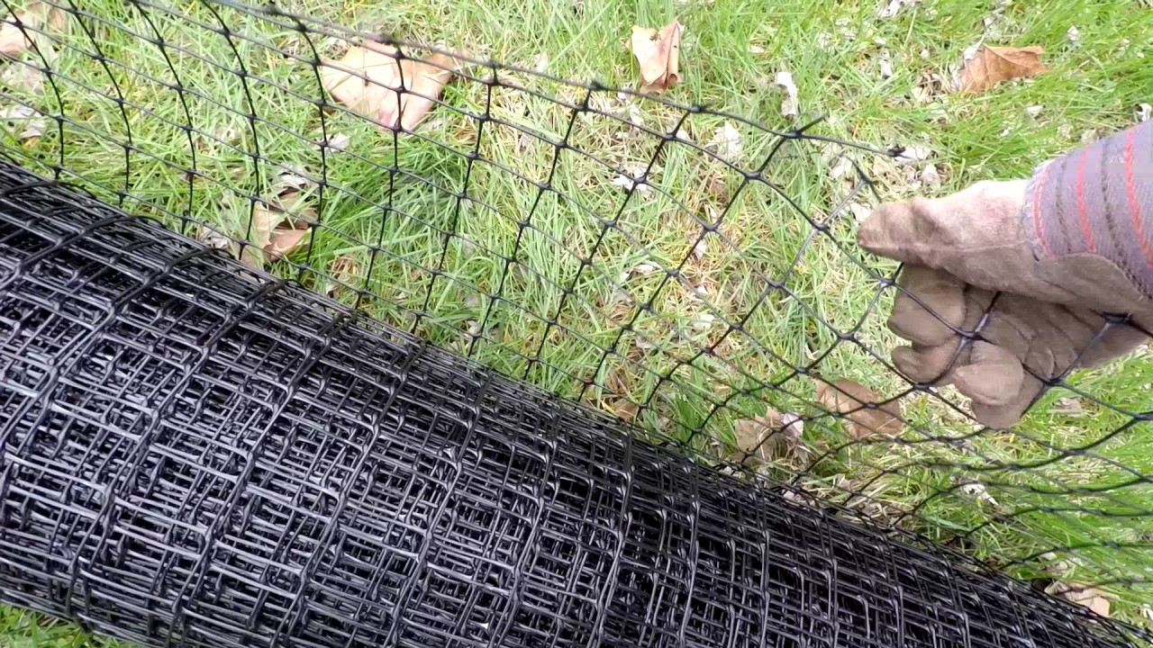Pest Free Organic Gardening 7 Tenax Deer Fencing To Protect Fruit in proportions 1280 X 720