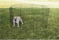 Pet Fence 36h Direcsource Ltd 100716 Pet Fences Gates pertaining to sizing 1000 X 1000