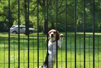 Pet Fence Specialty Designs Sp Jerith Aluminum Fence throughout size 878 X 1092