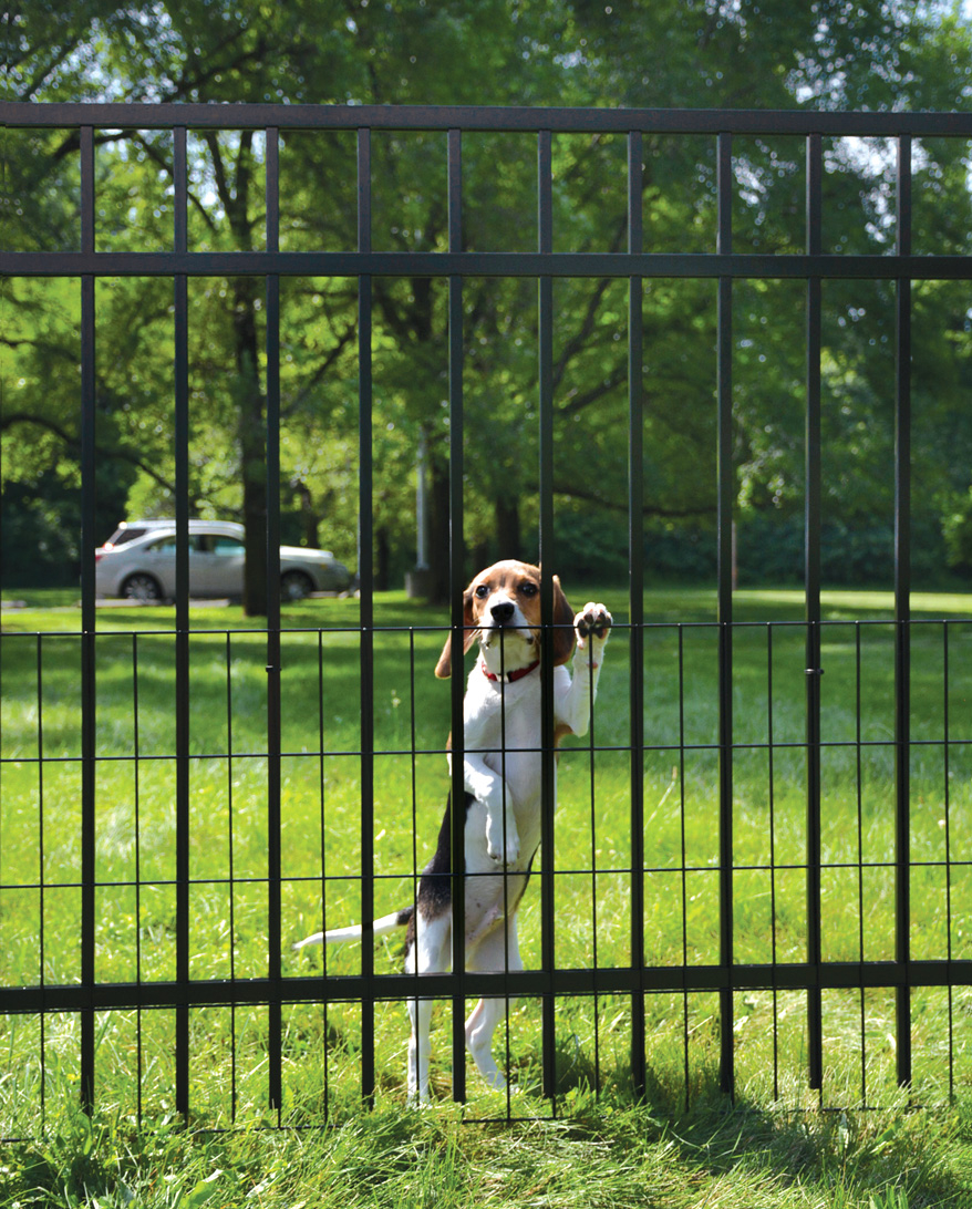 Pet Fence Specialty Designs Sp Jerith Aluminum Fence throughout size 878 X 1092