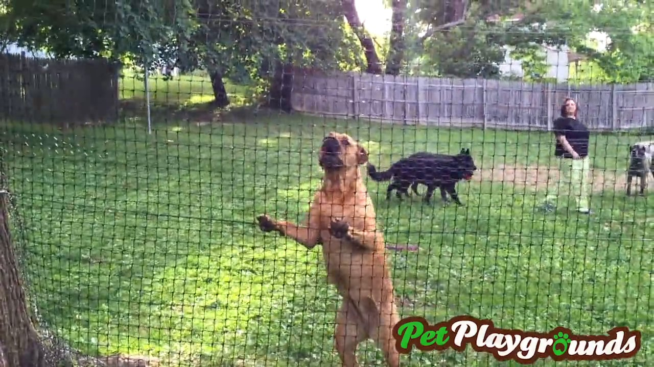 Pet Playgrounds Strong Dog Fence On Vimeo throughout sizing 1280 X 720