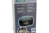 Petsafe Unsichtbarer Katzenzaun Katzengehege In Ground Cat Fence within size 1600 X 1600