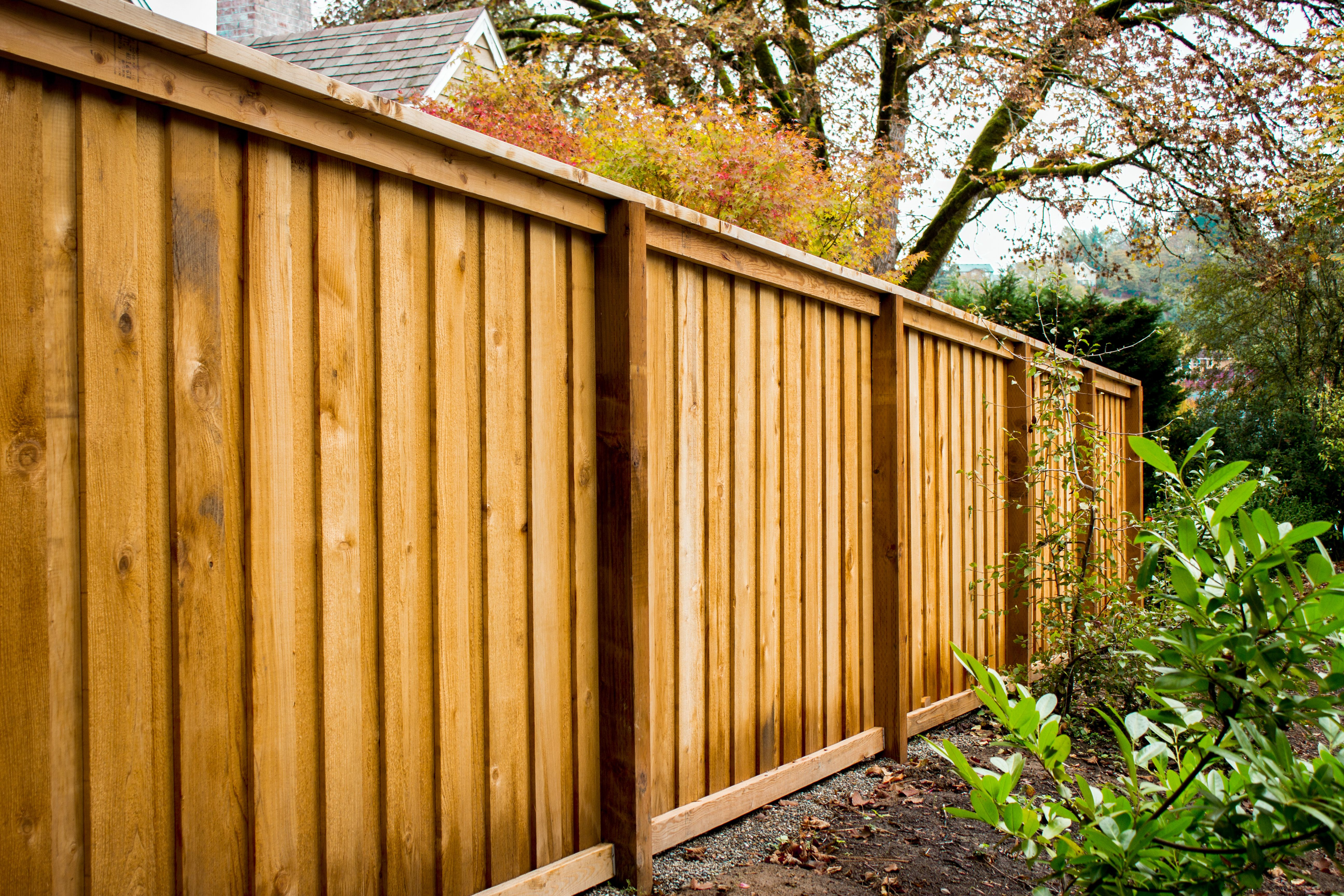 Picture Frame Style Cedar Fence Outdoors throughout measurements 5184 X 3456