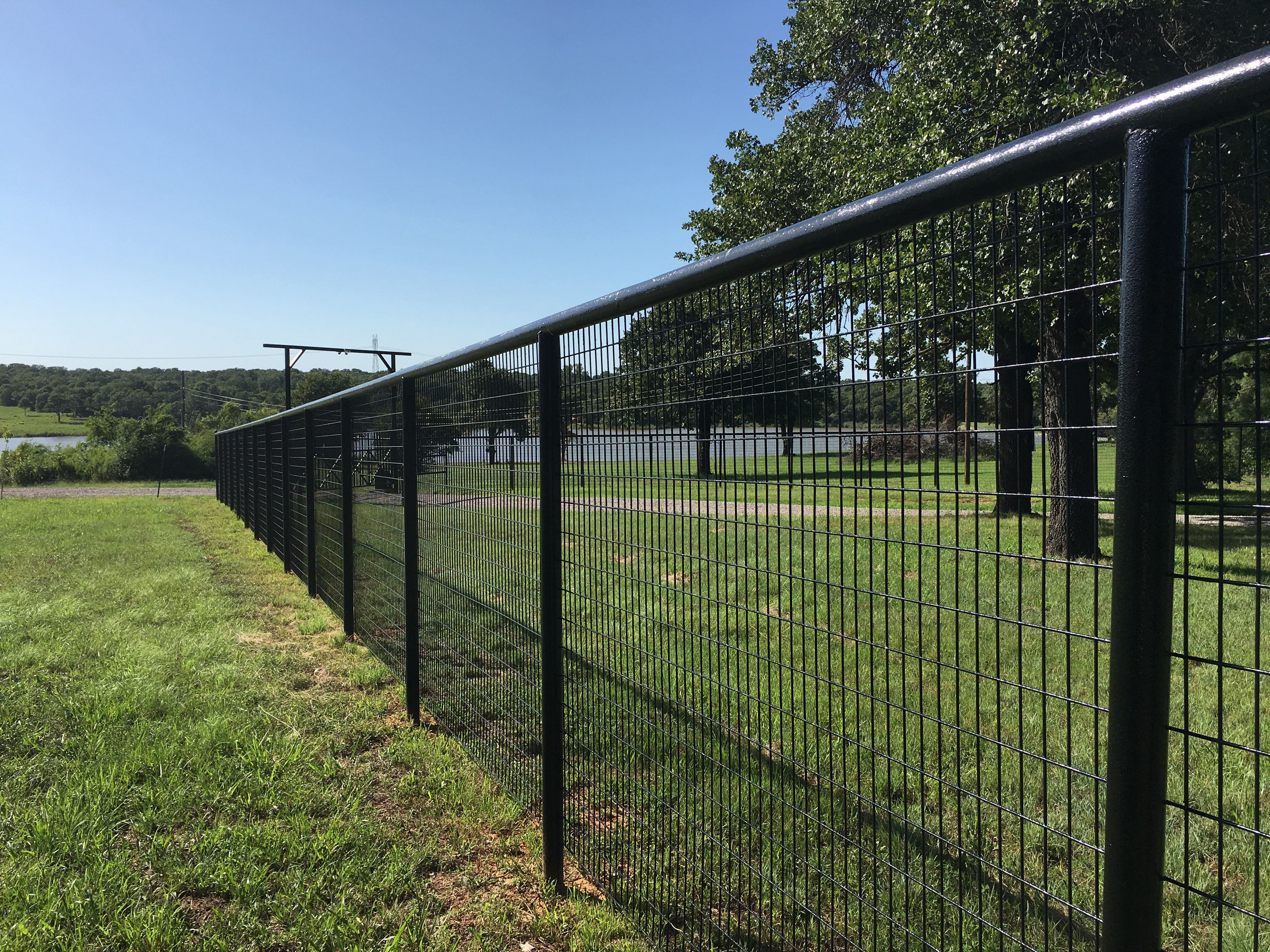 Pipe Fence With Welded No Climb Fence Painted Black Garden within sizing 4032 X 3024