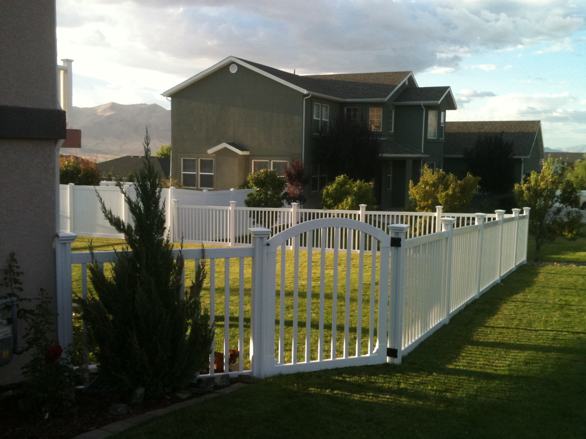 Plain Jane Fence Archives Wambam Fence pertaining to proportions 2048 X 1536