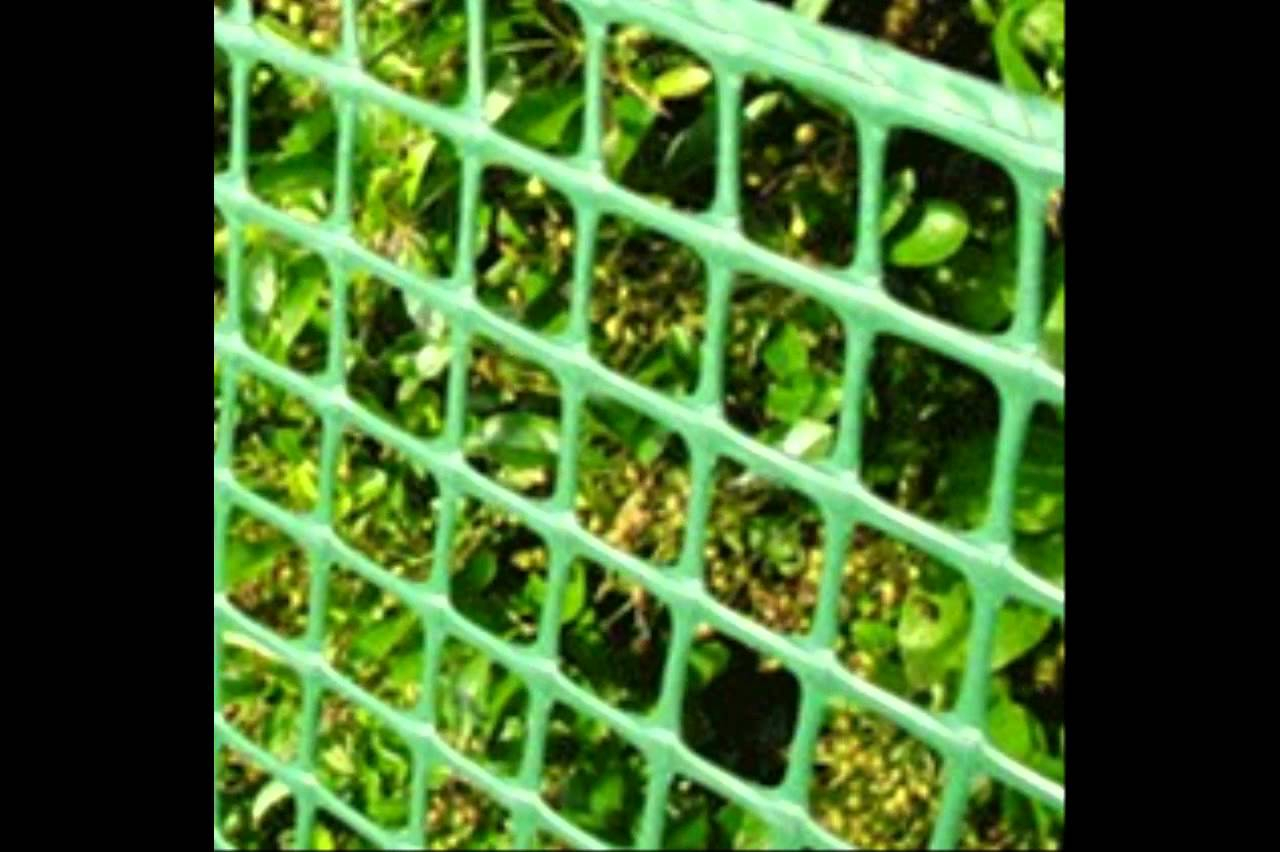 Plastic Fencing Net Plastic Fencing Mesh Garden Fence Mesh Netting inside proportions 1280 X 852