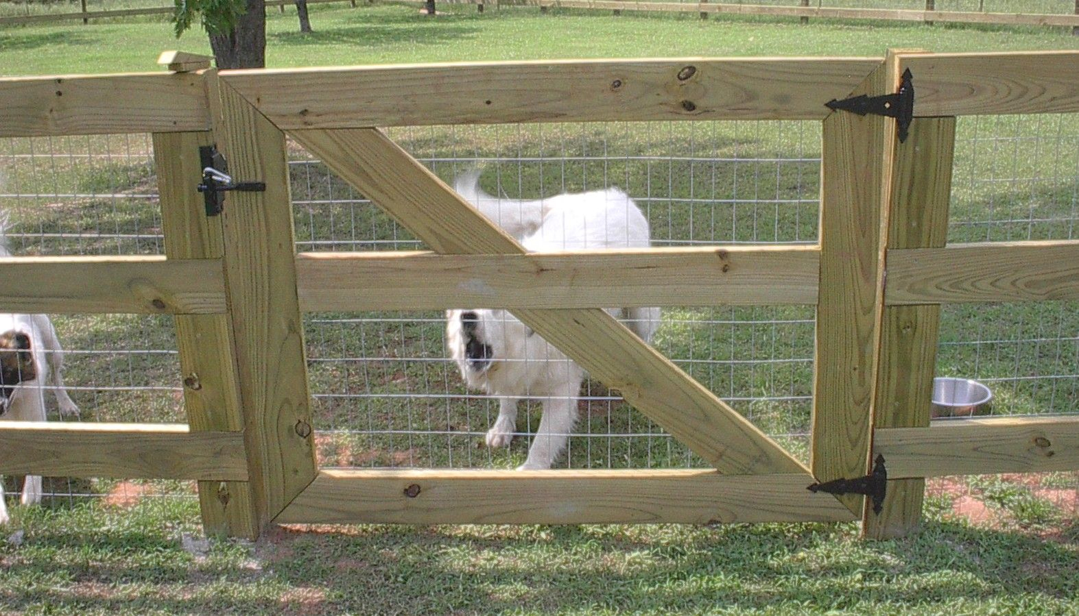 Please Excuse The Scary Dog We Love This Barn Style Fence And Diy for sizing 1573 X 899