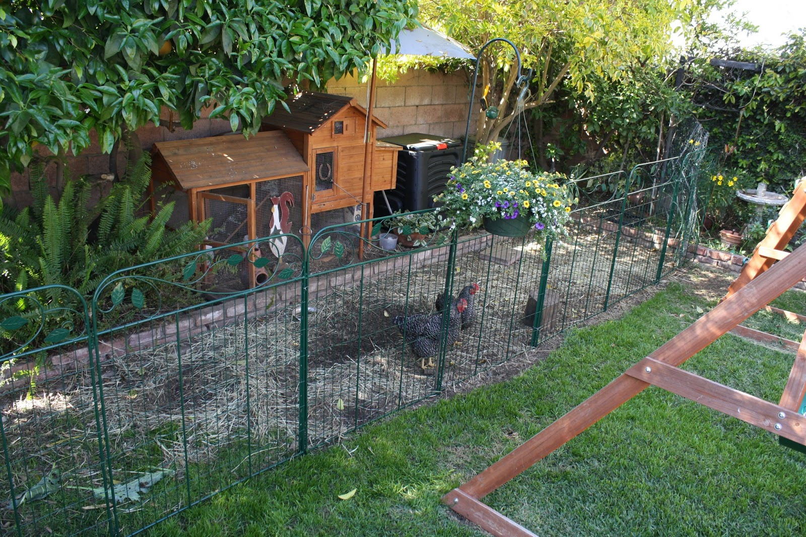 Portable Chicken Fence Panels Fences Design for dimensions 1600 X 1066