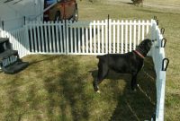 Portable Dog Fence For Camping Peiranos Fences Portable Dog with size 1440 X 1080
