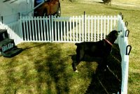 Portable Dog Fence For Camping Peiranos Fences Yard Landscaping intended for dimensions 1440 X 1080