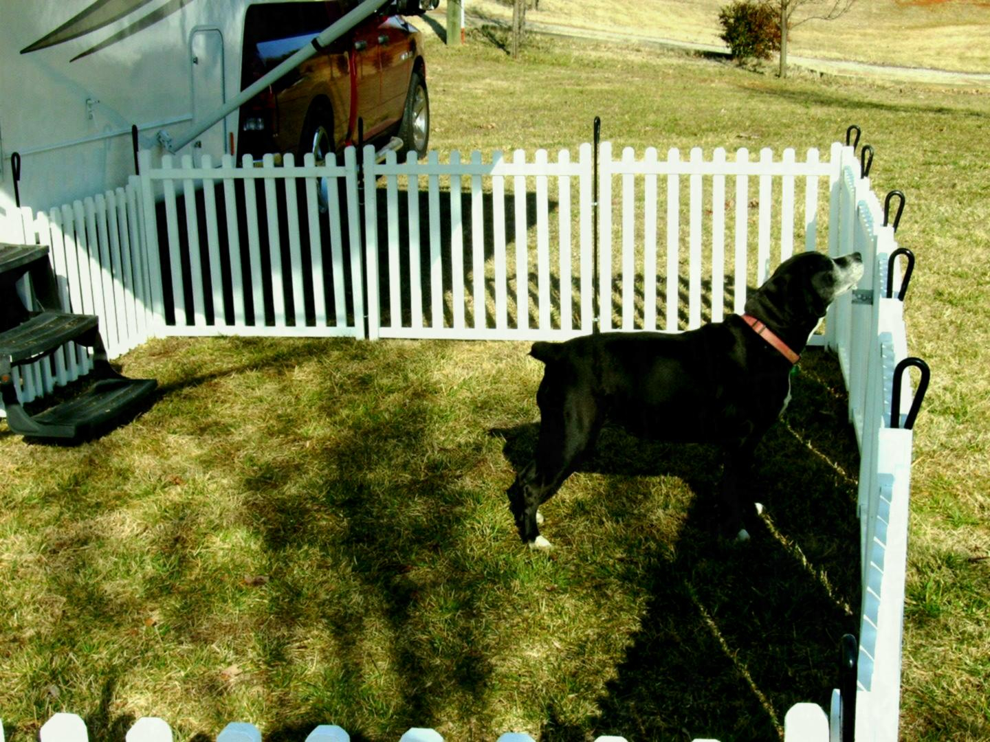 Portable Dog Fence For Camping Peiranos Fences Yard Landscaping intended for dimensions 1440 X 1080