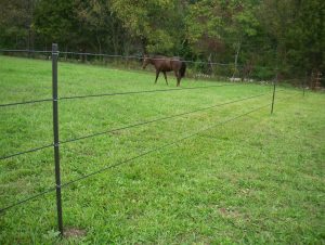 Portable Electric Fence Posts For Horses Fences Ideas pertaining to proportions 1278 X 961