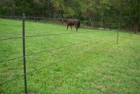 Portable Electric Fence Posts For Horses Fences Ideas throughout dimensions 1278 X 961