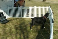 Portable Pet Fencing For Camping Fences Ideas inside sizing 1440 X 1080