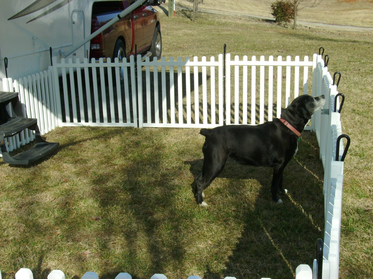 Portable Pet Fencing For Camping Fences Ideas inside sizing 1440 X 1080