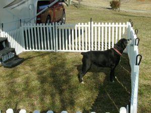 Portable Pet Fencing For Camping Fences Ideas intended for dimensions 1440 X 1080