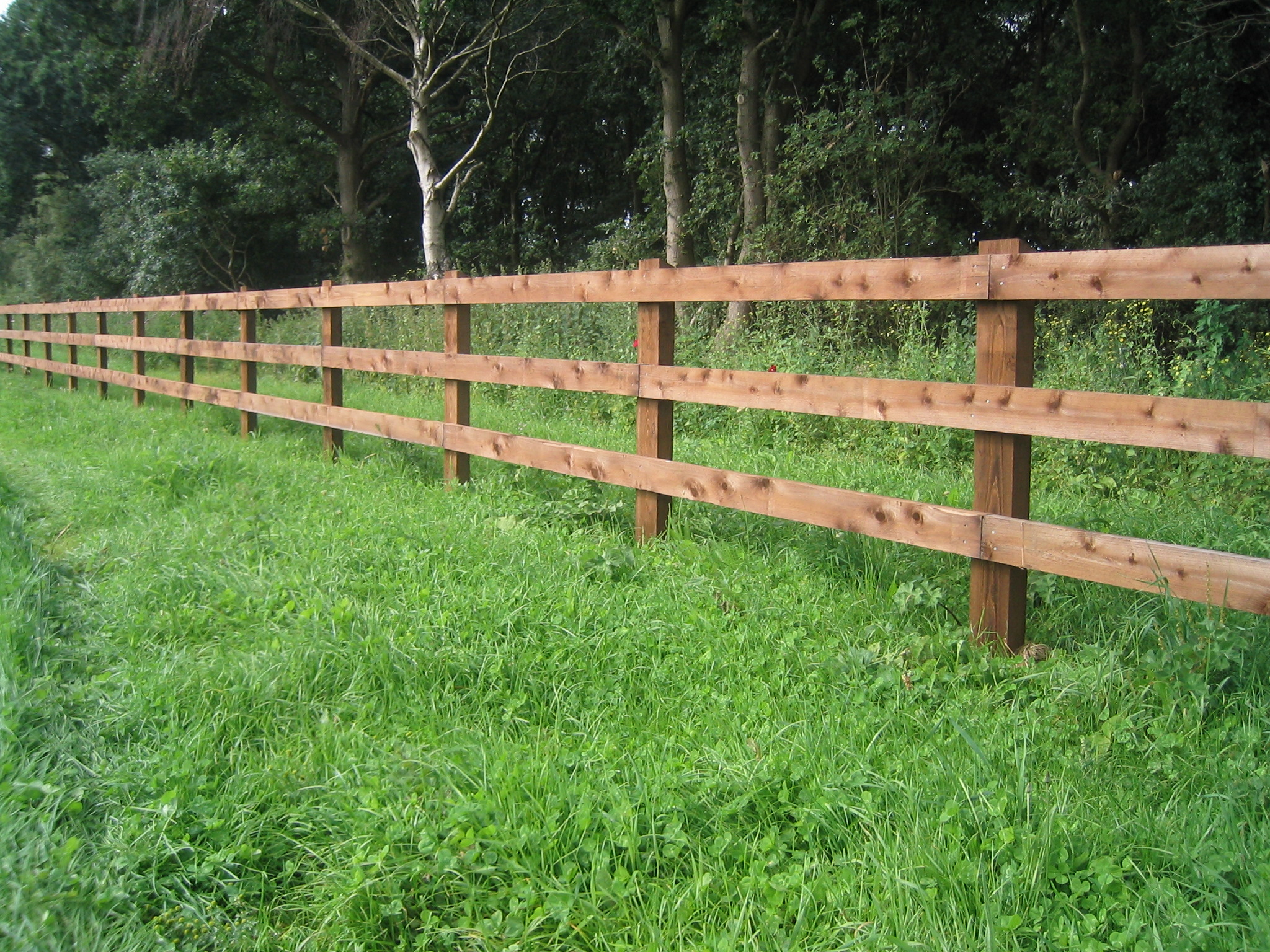 Post And Rail Paddock Fencing Thomson Sawmills throughout sizing 2048 X 1536