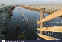 Predator Control Fence On Reserve Elmley Marshes Nnr North Kent in sizing 1300 X 953