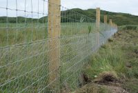 Predator Proof Fencing At Sheskinmore Friends Of Sheskinmore throughout proportions 3872 X 2592