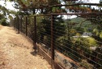 Pressure Treated And Welded Wire Deer Fence Ideas For The House inside sizing 3264 X 2448