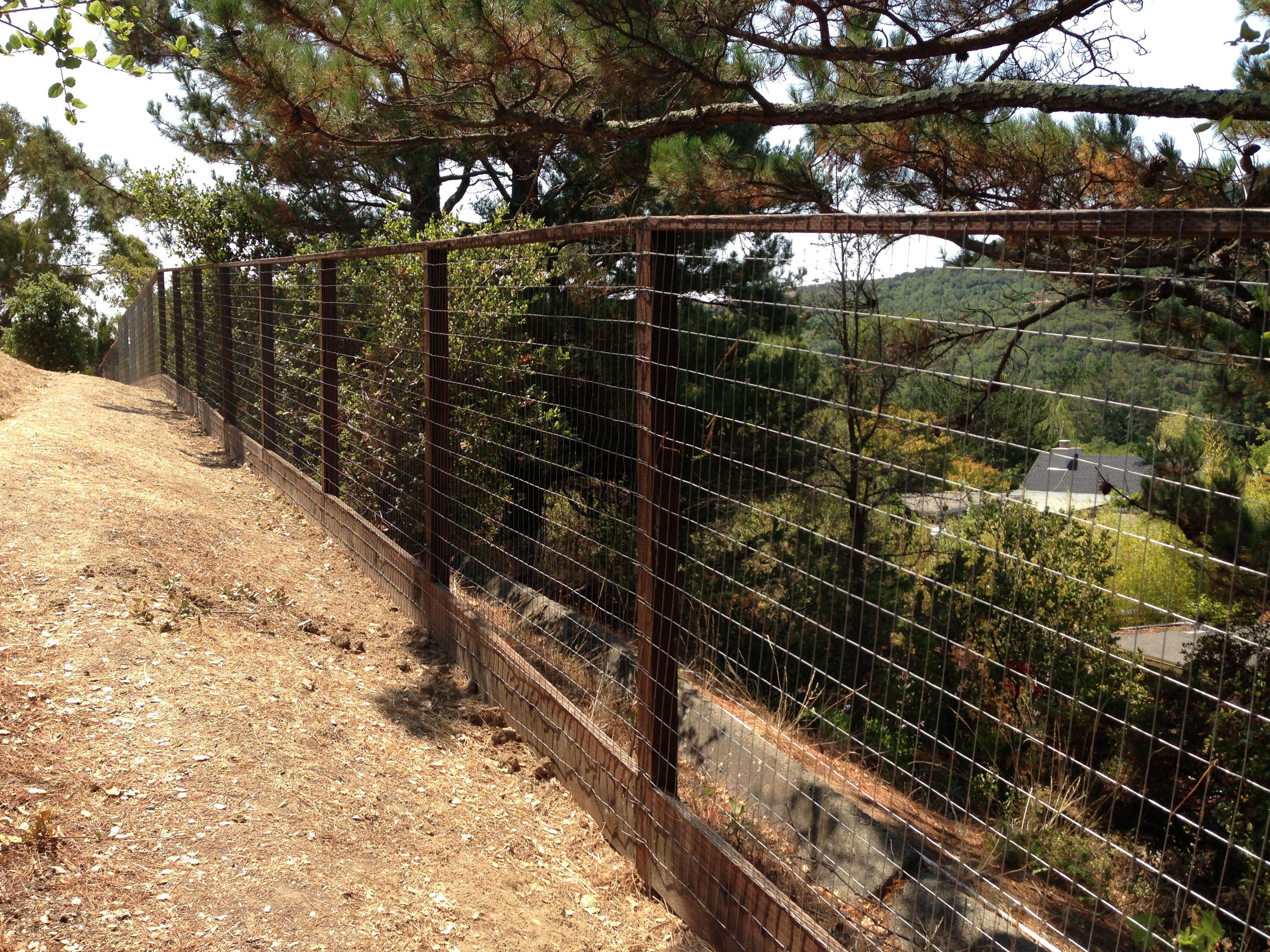 Pressure Treated And Welded Wire Deer Fence Ideas For The House inside sizing 3264 X 2448