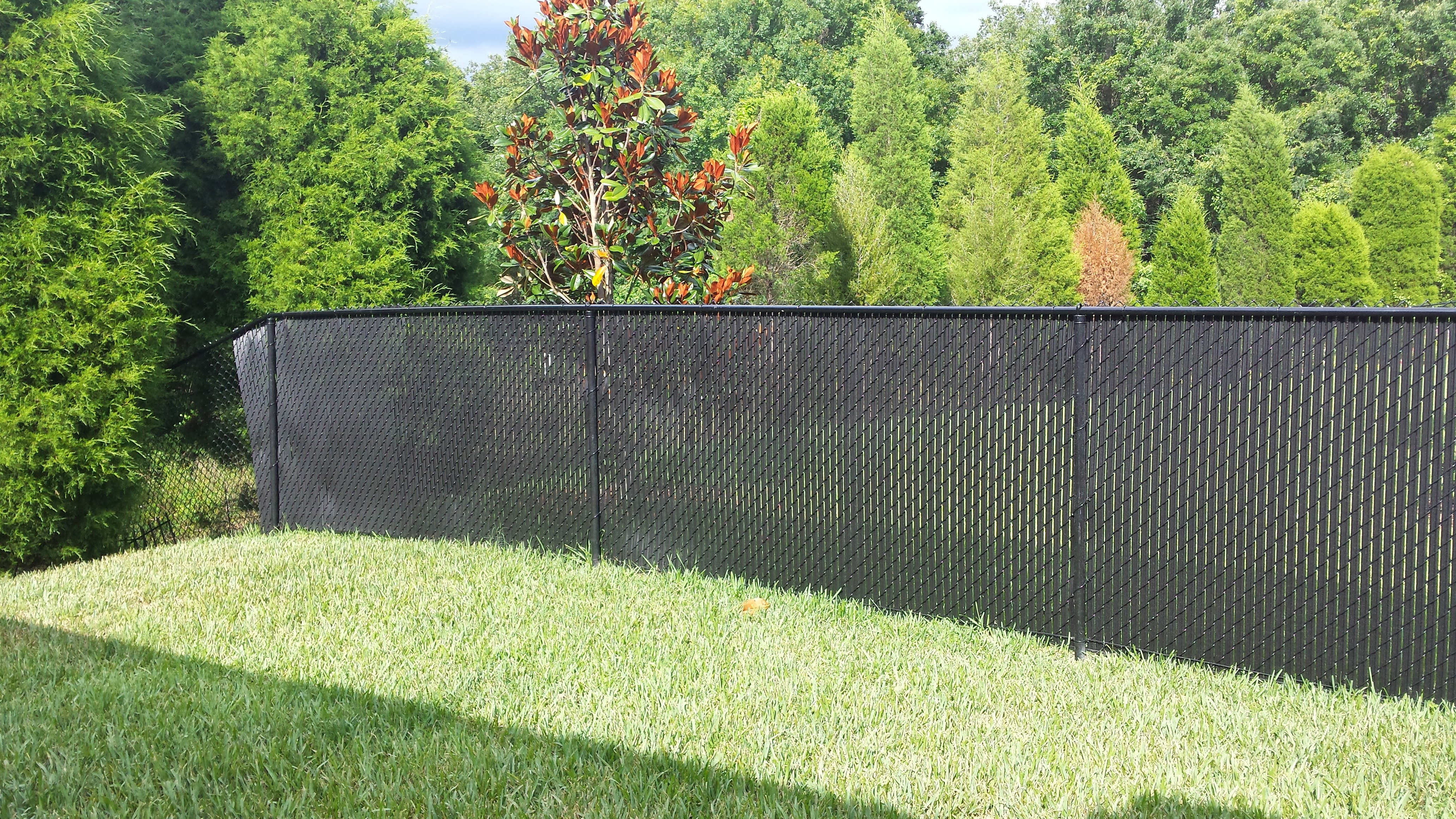 Privacy Fence Slats Great Solution For Your Chain Link Fence Tw inside dimensions 4128 X 2322