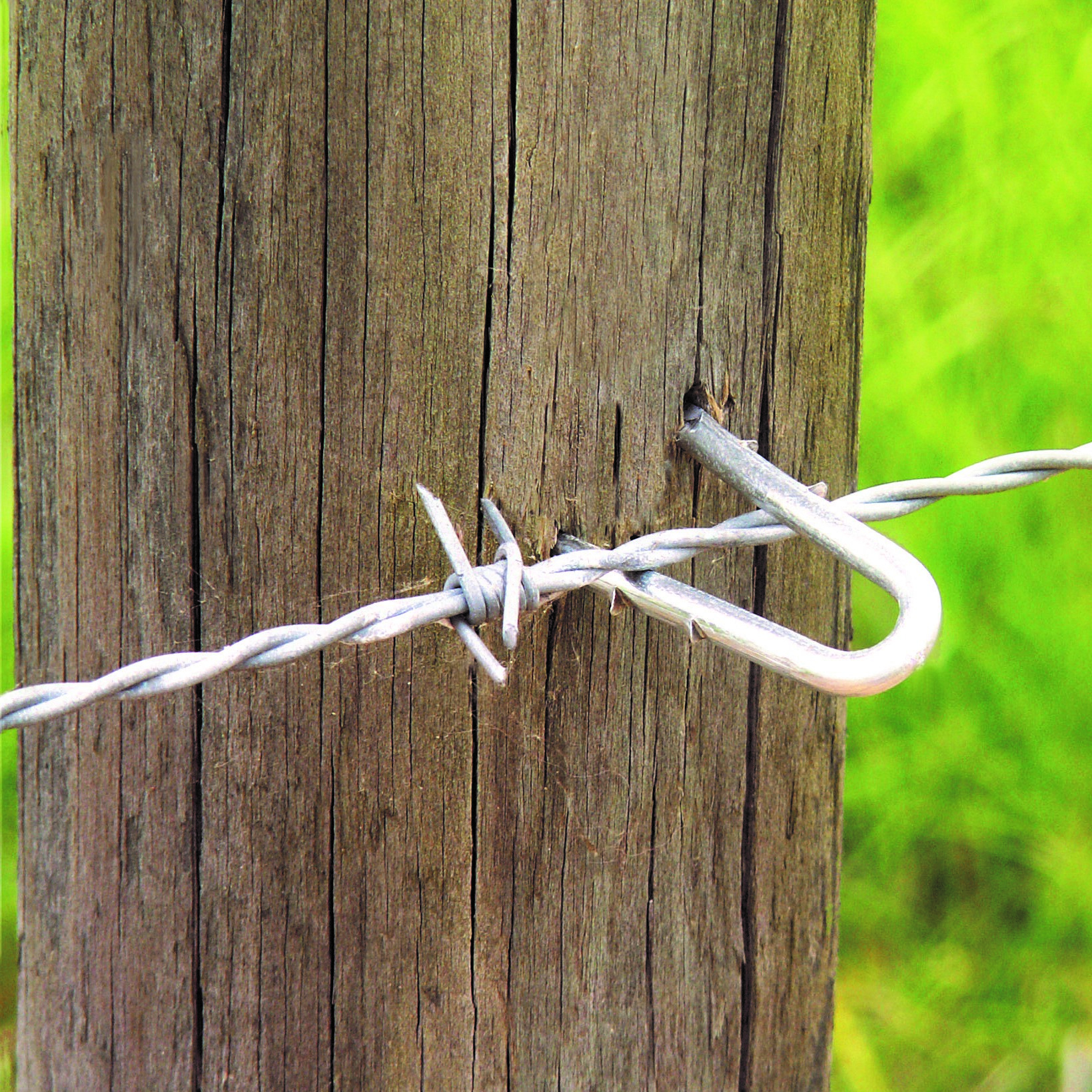 Properly Driven Wire Fence Staples pertaining to measurements 1639 X 1639