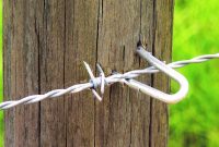 Properly Driven Wire Fence Staples with regard to size 1639 X 1639