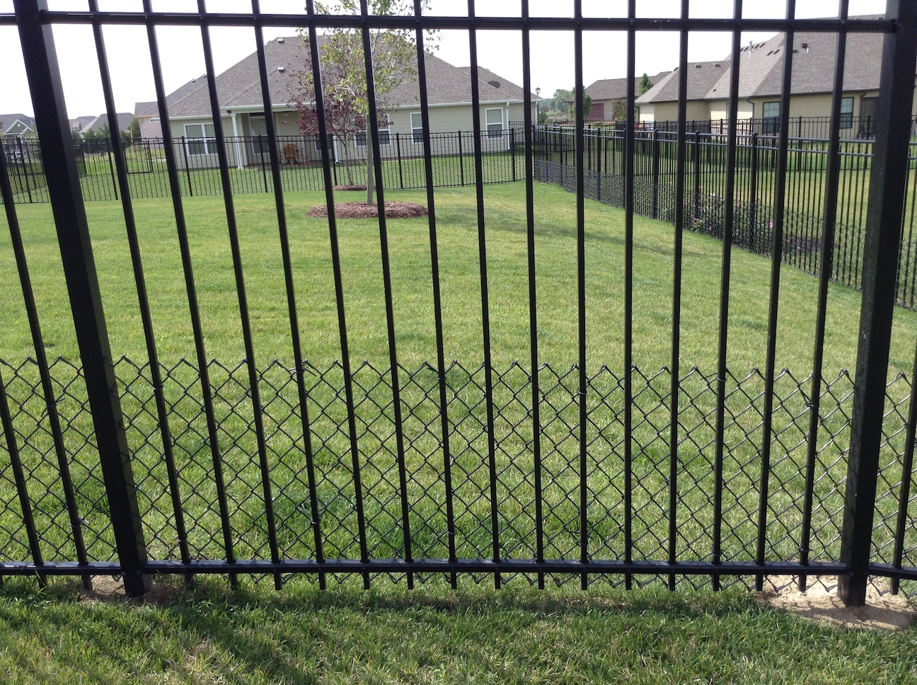 Puppy Proof Wrought Iron Fence Fences Design for measurements 1296 X 968