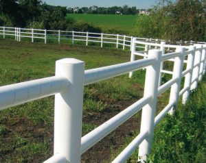 Pvc Pipe Fence For Horses Fences Design inside proportions 1000 X 793
