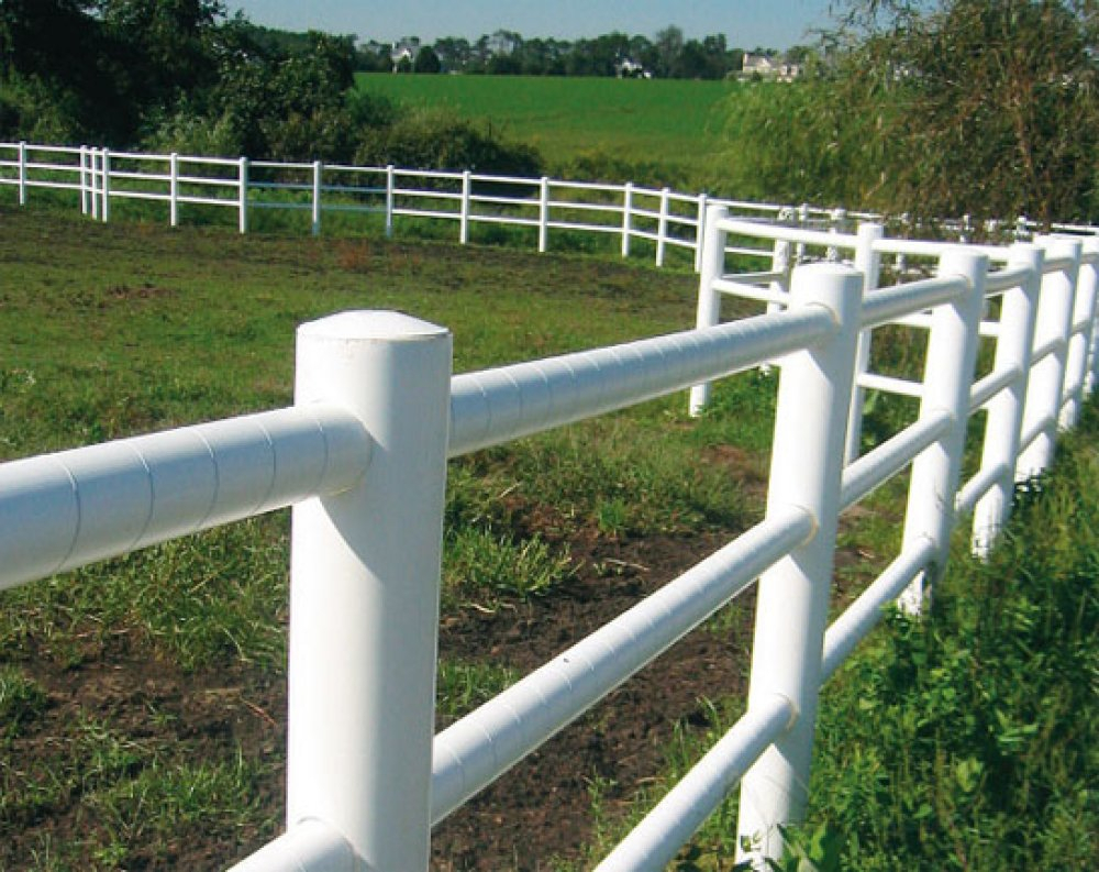 Pvc Pipe Fence For Horses Fences Design regarding size 1000 X 793