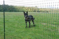 Ranch Plastic Fences Tenax inside proportions 1000 X 1000