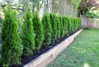 Really Love The Raised Bed Idea To Create A Privacy Fence Using intended for size 2000 X 1500