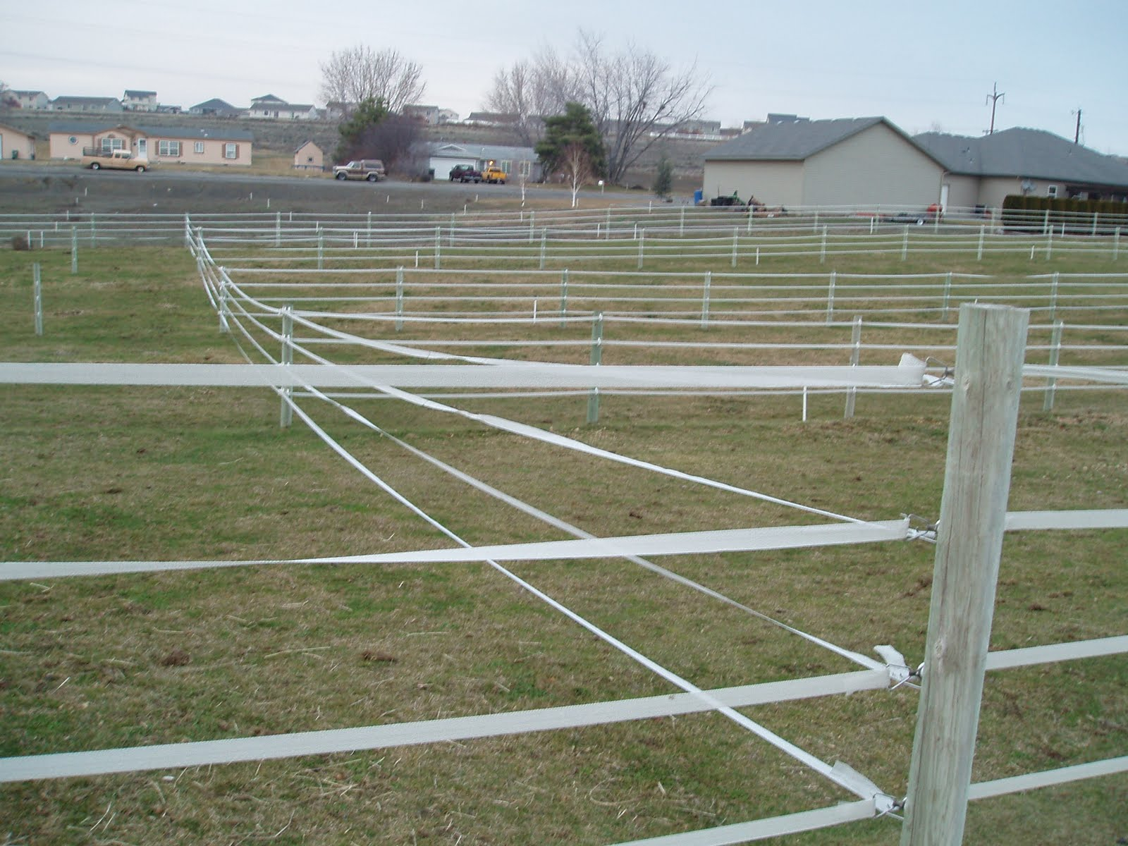 Restoring Joy My Love Hate Affair With Electric Tape Fencing intended for proportions 1600 X 1200