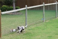 Retractable Fence For Dogs Outdoor Outdoor Designs throughout proportions 1600 X 1200
