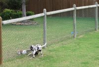 Retractable Fence For Dogs Outdoor Outdoor Designs throughout sizing 1600 X 1200