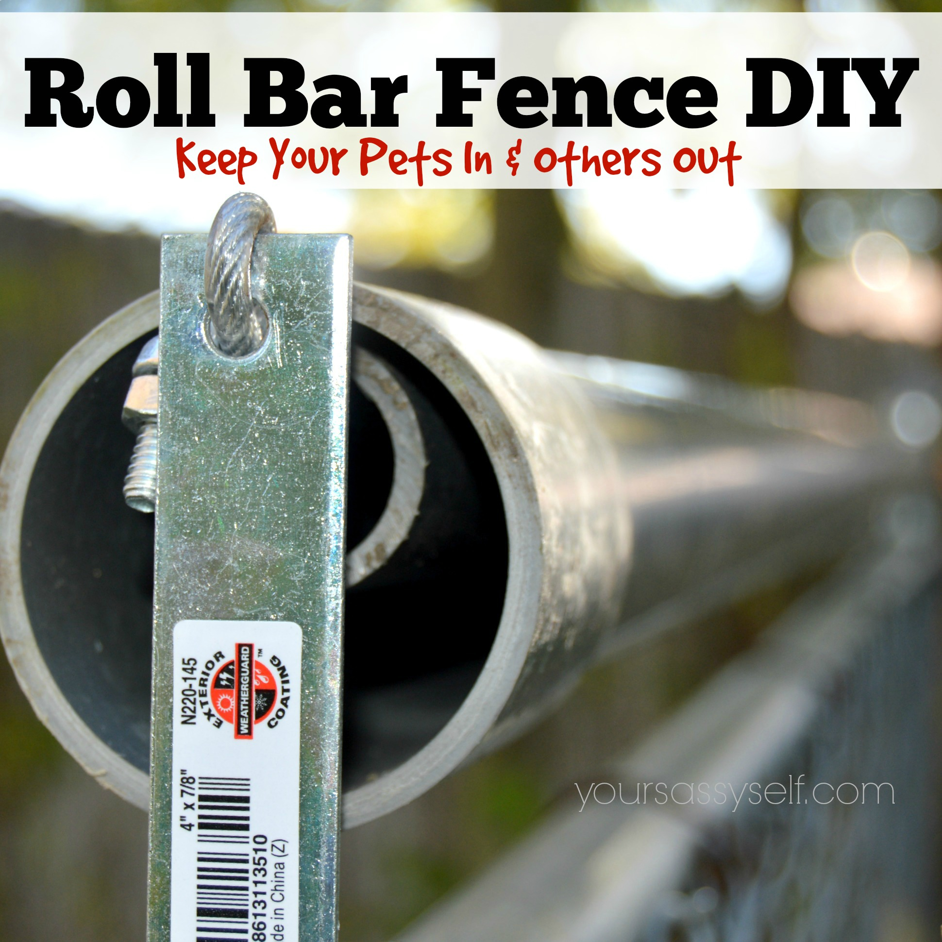 Roll Bar Fence Diy Keep Your Pets In Others Out Your Sassy Self for sizing 1940 X 1940