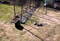 Setting Up Solar Electric Fence To Protect Chickens From Raccoons regarding size 1280 X 720