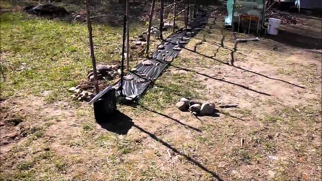 Setting Up Solar Electric Fence To Protect Chickens From Raccoons regarding size 1280 X 720