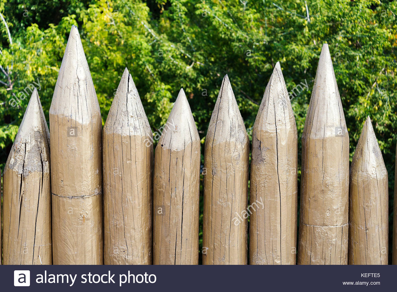 Sharpened Wooden Stakes Stock Photos Sharpened Wooden Stakes Stock within proportions 1300 X 957