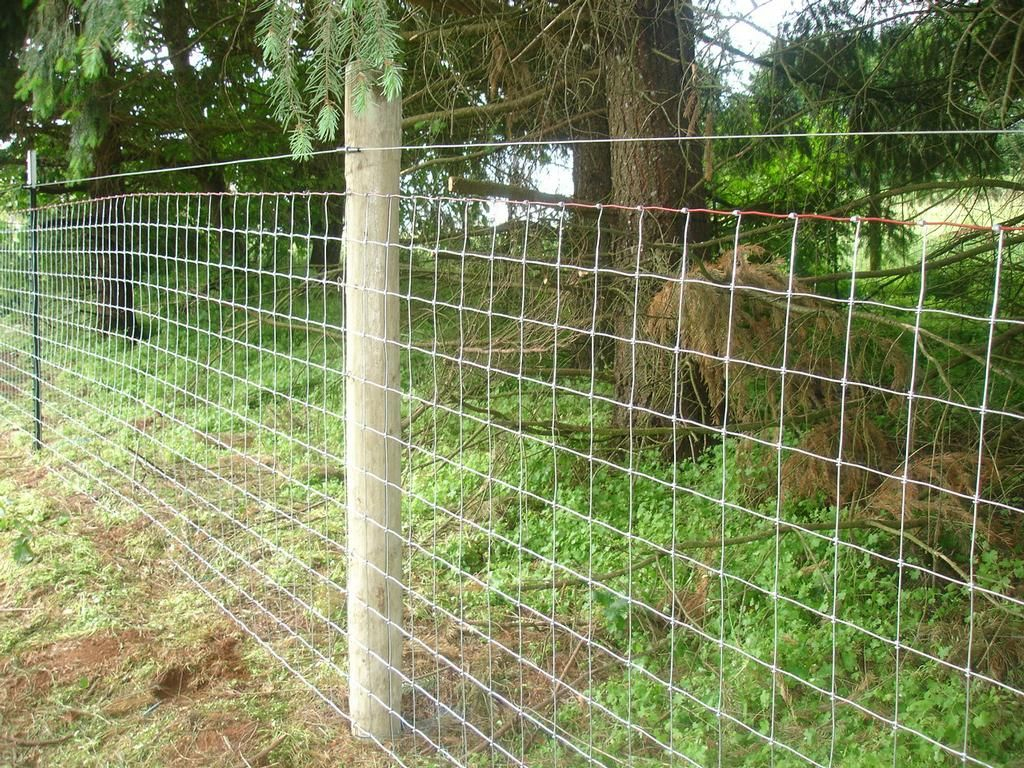 Sheep Goat Mesh Wire Fence Statewide Fence The Farm Critters within sizing 1024 X 768