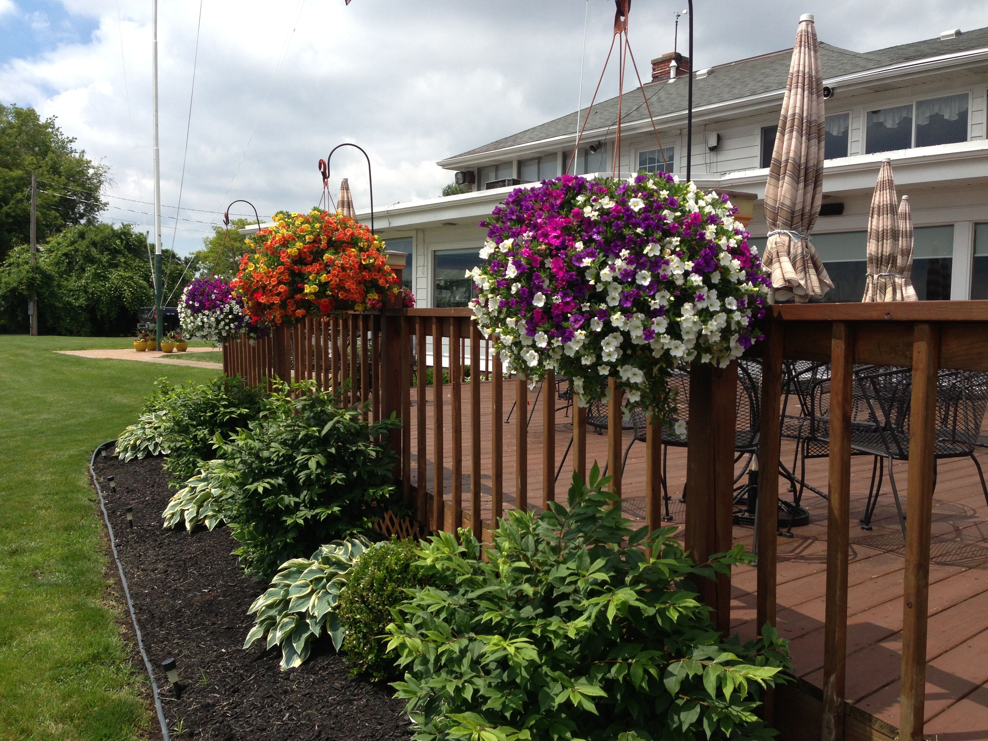 Shepherd Hooks And Hanging Baskets On Deck Outdoorindoor throughout sizing 3264 X 2448