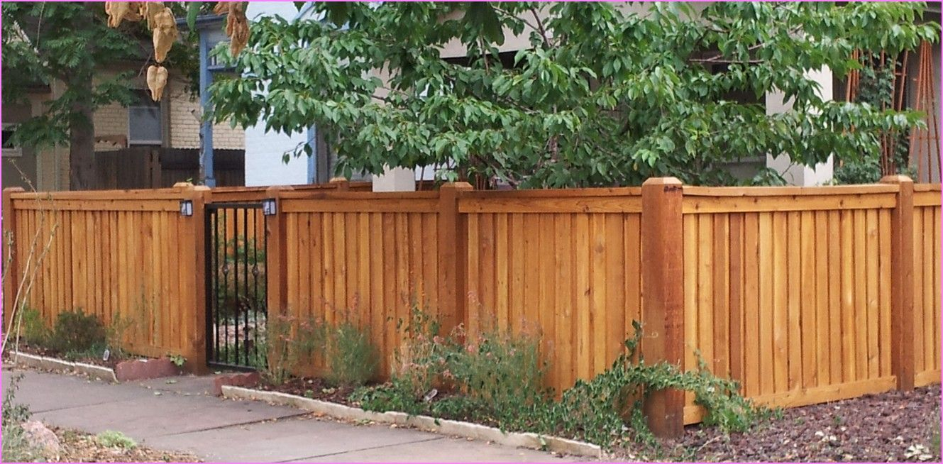 Short Privacy Fence With Metal Gate Fences Gates Screens within proportions 1329 X 654