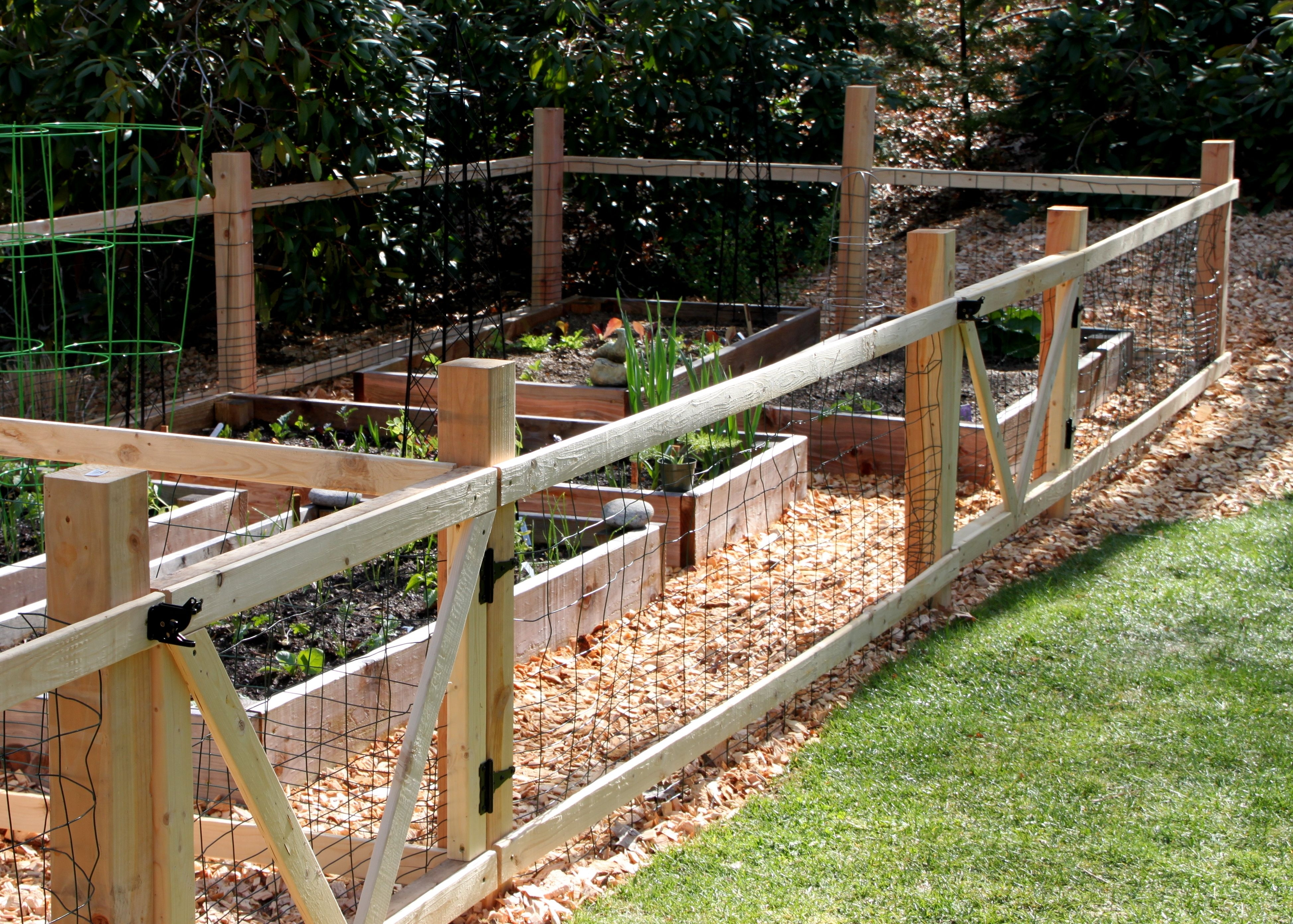 Simple Garden Fence Ideas inside size 3893 X 2783